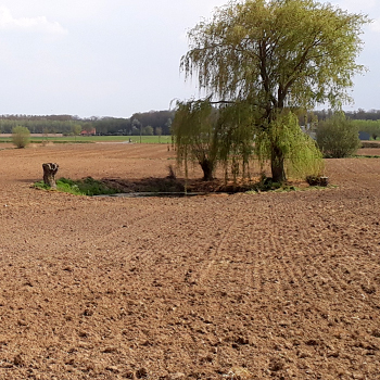 kleinelandschapselementen 3